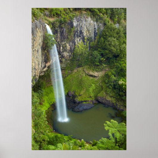 Bridal Veil Falls, Neuseeland Poster (Vorne)