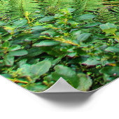 Bridal Veil Falls, NZ Poster (Ecke)