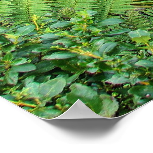 Bridal Veil Falls, NZ Poster (Ecke)