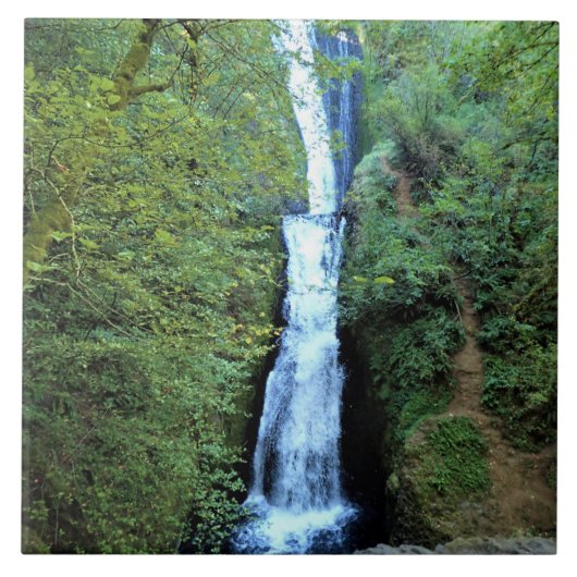 Bridal Veil Falls, OR Fliese (Vorderseite)