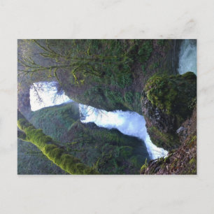 Bridal Veil Falls, Oregon Postkarte