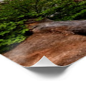 Bridal Veil Falls Poster (Ecke)