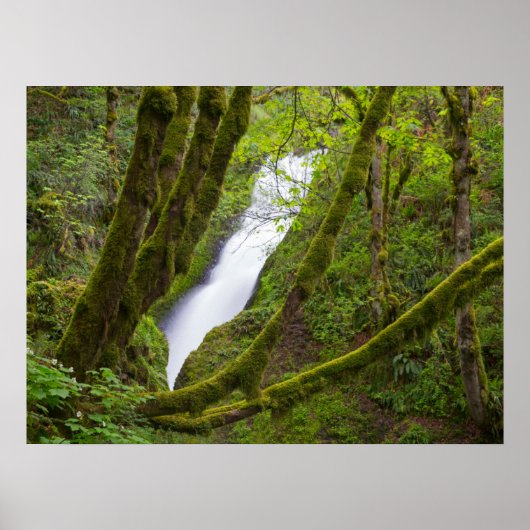 Bridal Veil Falls Poster (Vorne)