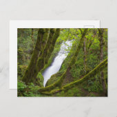 Bridal Veil Falls Postkarte (Vorne/Hinten)