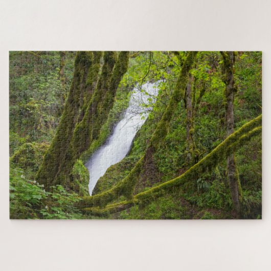 Bridal Veil Falls Puzzle (Horizontal)