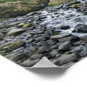 Bridal Veil Falls Trail, Oregon Poster (Ecke)