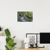 Bridal Veil Falls Trail, Oregon Poster (Heimbüro)