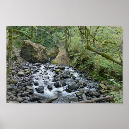 Bridal Veil Falls Trail, Oregon Poster (Vorne)
