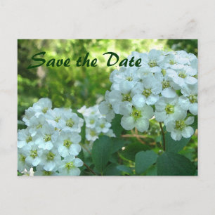 Bridal Wreath Save the Date Ankündigungspostkarte