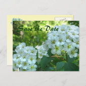 Bridal Wreath Save the Date Ankündigungspostkarte (Vorne/Hinten)