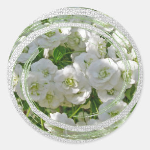 Bridal Wreath Spirea Blume Stickers