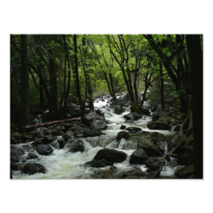Bridalveil Creek im Yosemite-Nationalpark Fotodruck