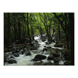 Bridalveil Creek im Yosemite-Nationalpark Fotodruck