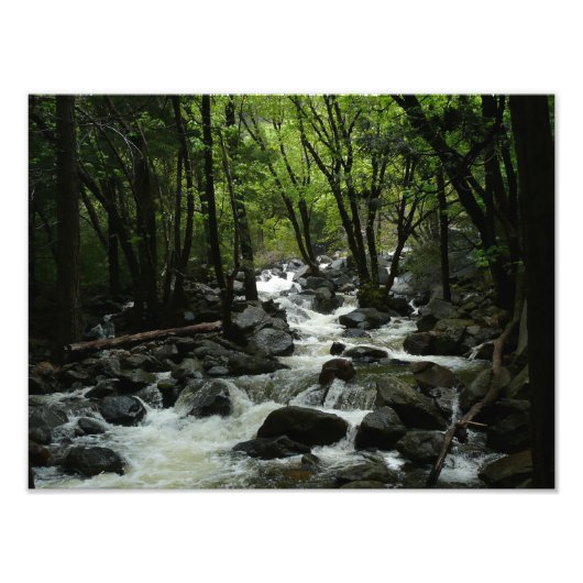 Bridalveil Creek im Yosemite-Nationalpark Fotodruck (Vorne)