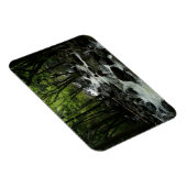 Bridalveil Creek im Yosemite-Nationalpark Magnet (Rechte Seite)