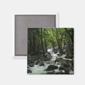 Bridalveil Creek im Yosemite-Nationalpark Magnet (Vorderseite/Rückseite)