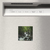 Bridalveil Creek im Yosemite-Nationalpark Magnet (In Situ (Geschirrspüler))