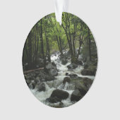 Bridalveil Creek im Yosemite-Nationalpark Ornament (Vorderseite)