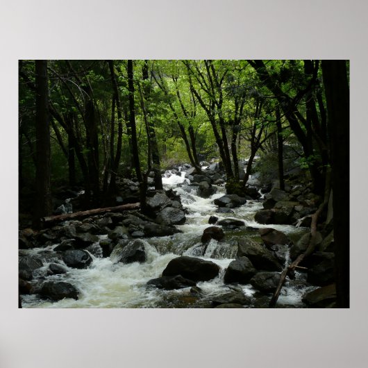 Bridalveil Creek im Yosemite-Nationalpark Poster (Vorne)