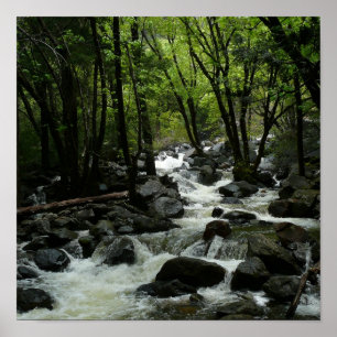 Bridalveil Creek im Yosemite-Nationalpark Poster