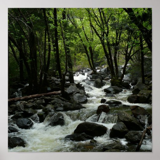 Bridalveil Creek im Yosemite-Nationalpark Poster (Vorne)