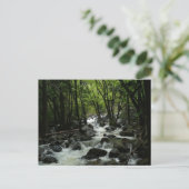 Bridalveil Creek im Yosemite-Nationalpark Postkarte (Stehend Vorderseite)