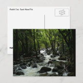 Bridalveil Creek im Yosemite-Nationalpark Postkarte (Vorne/Hinten)