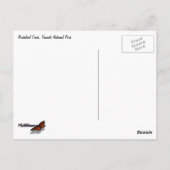 Bridalveil Creek im Yosemite-Nationalpark Postkarte (Rückseite)