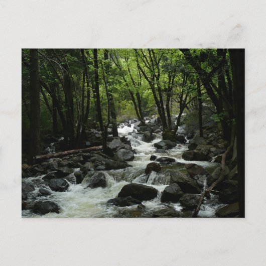 Bridalveil Creek im Yosemite-Nationalpark Postkarte (Vorderseite)