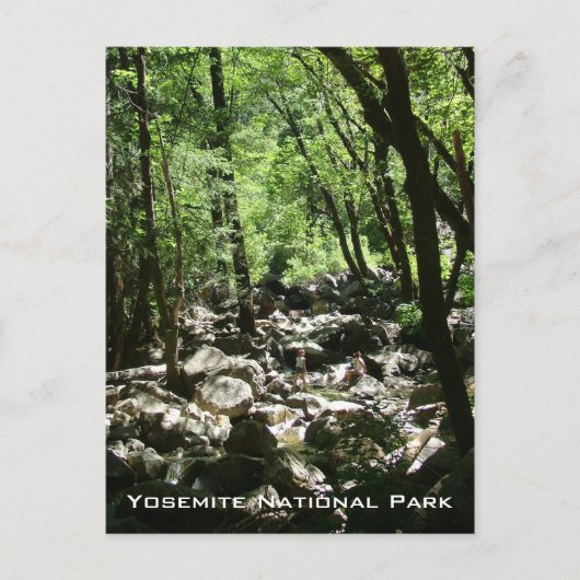 Bridalveil Creek Postkarte (Vorderseite)