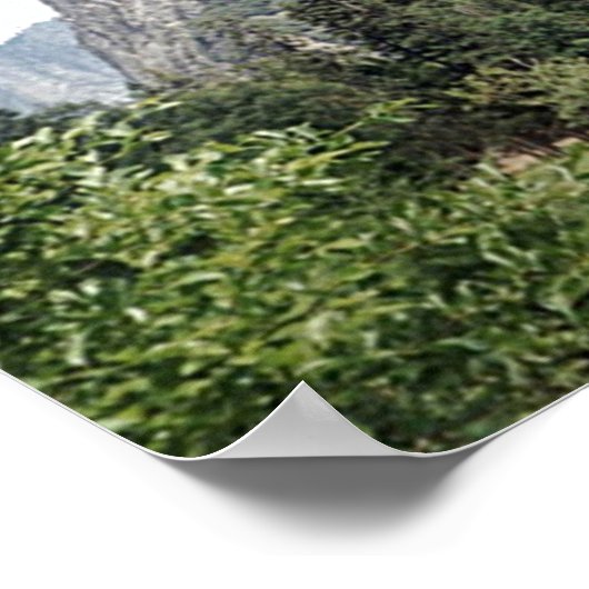 Bridalveil Falls Poster (Ecke)