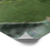 Bride's Dream Rose Bud Poster (Ecke)