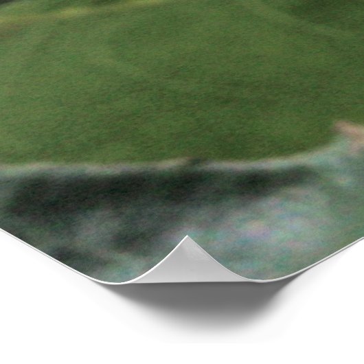 Bride's Dream Rose Bud Poster (Ecke)