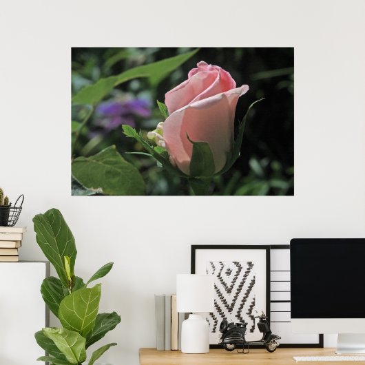 Bride's Dream Rose Bud Poster (Heimbüro)