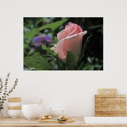 Bride's Dream Rose Bud Poster (Küche)
