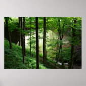 Bridge Arch Green Forest Poster 36" x 24" (Vorne)