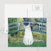 Bridge - kurze Haarkatze Postkarte (Vorne/Hinten)