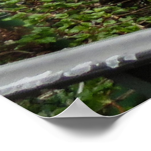 Bridge of Flowers Poster (Ecke)