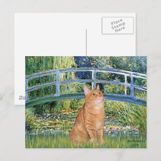 Bridge - Orange Tabby SH cat 46 Postkarte (Vorne/Hinten)