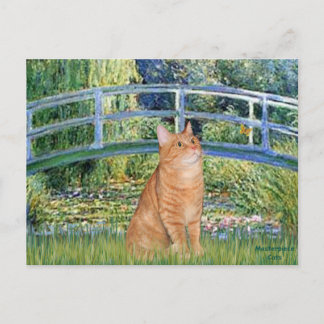 Bridge - Orange Tabby SH cat 46 Postkarte