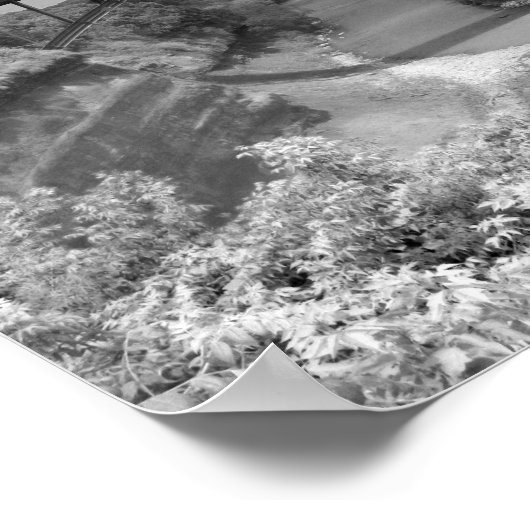 Bridge Over River Gorge Fotografie Poster (Ecke)