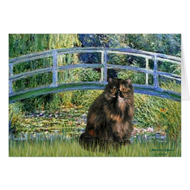 Bridge - Persian Calico cat (Vorderseite (Horizontal))