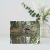 Bridge Postcard Postkarte (Stehend Vorderseite)