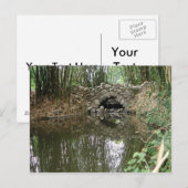 Bridge Postcard Postkarte (Vorne/Hinten)