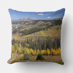 Bridger-Teton Nationalforst Kissen
