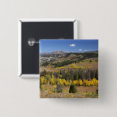 Bridger-Teton-Nationalwald Button (Vorne & Hinten)