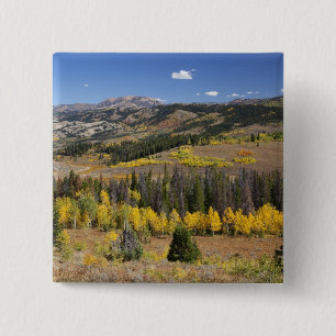 Bridger-Teton-Nationalwald Button