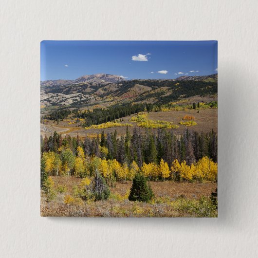 Bridger-Teton-Nationalwald Button (Vorderseite)