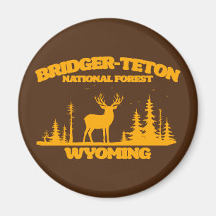 Bridger-Teton-Nationalwald Magnet