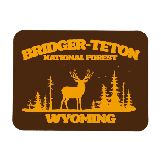 Bridger-Teton-Nationalwald Magnet (Horizontal)